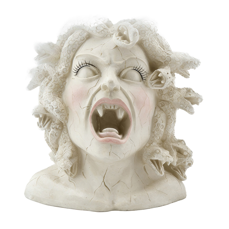 Real photo of the Medusa screaming style resin flower pot